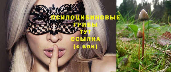 молекула духа Балахна