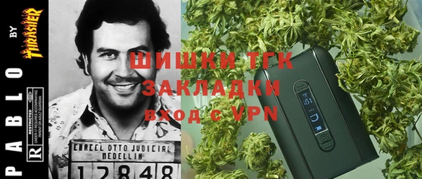 молекула духа Балахна