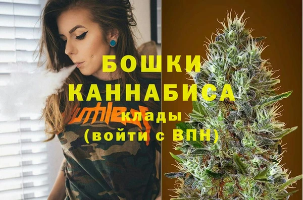 молекула духа Балахна